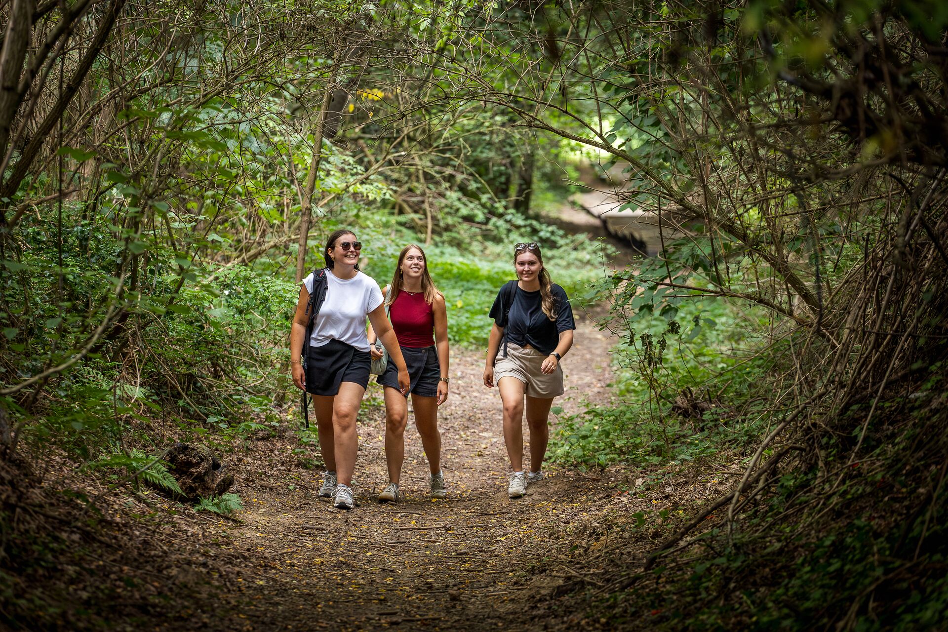 Flanders Finest hiking - Pittoreske dorpen wandelroute Limburg ToerismeVlaanderen-Vlaams-Limburg-HR-129