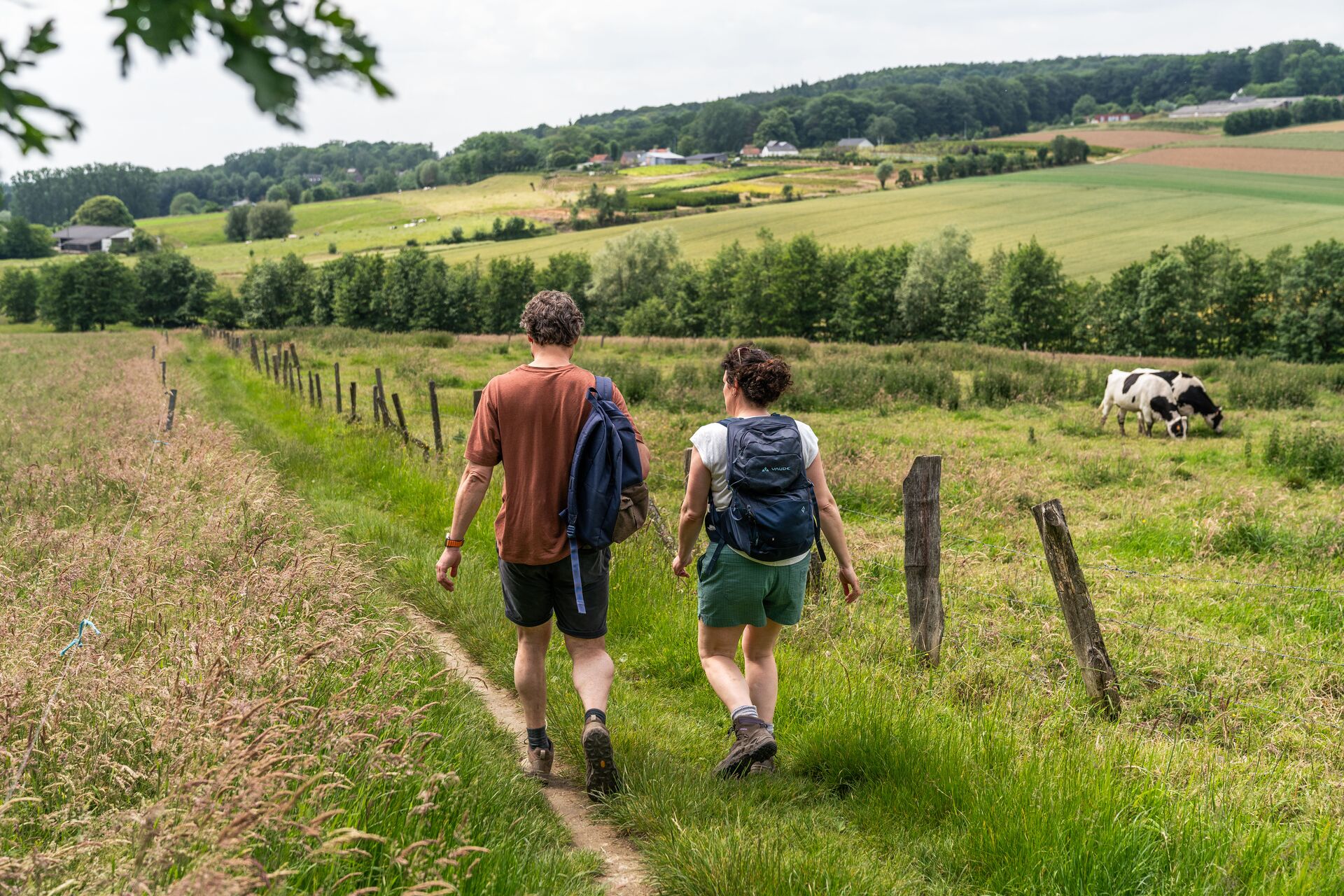 Het Muziekbos is een natuurgebied op de Muziekberg in de Vlaamse Ardennen in Zuid-Oost-Vlaanderen (België). Het Muziekbos is 52 hectare groot en sluit aan op het 57 hectare grote Sint-Pietersbos. Het ligt ten noordoosten van Ronse en dit domeinbos wordt beheerd door de Vlaamse overheidsdienst Agentschap voor Natuur en Bos. Muziekbos_wandelaars7 © Jens Mollenvanger voor Toerisme Oost-Vlaanderen