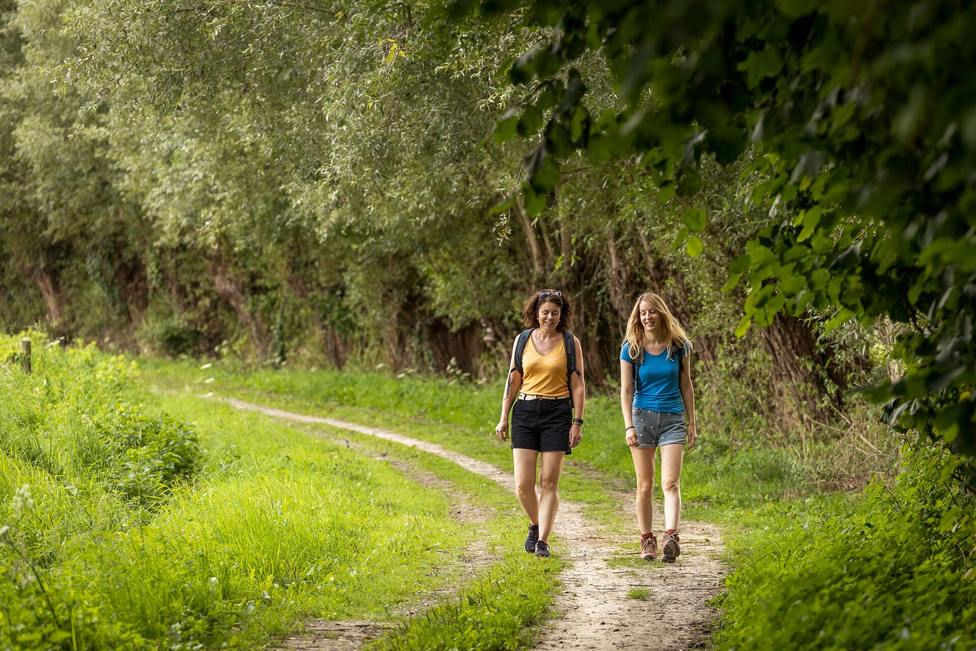 Due persone fanno jogging lungo un sentiero forestale immerso nel verde. Una indossa pantaloncini neri e maglia gialla, l’altra pantaloncini e maglia blu, trasmettendo una sensazione di tranquillità e benessere fisico.