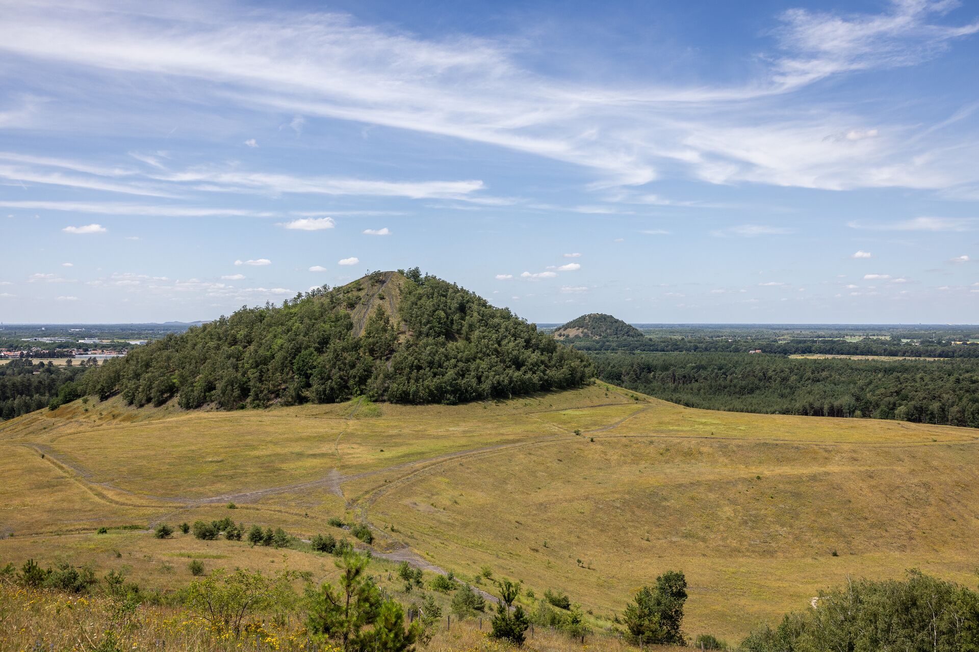 Il terril di Waterschei Ampio paesaggio con una collina boscosa, prato e sentieri sotto un cielo azzurro con nuvole velate.