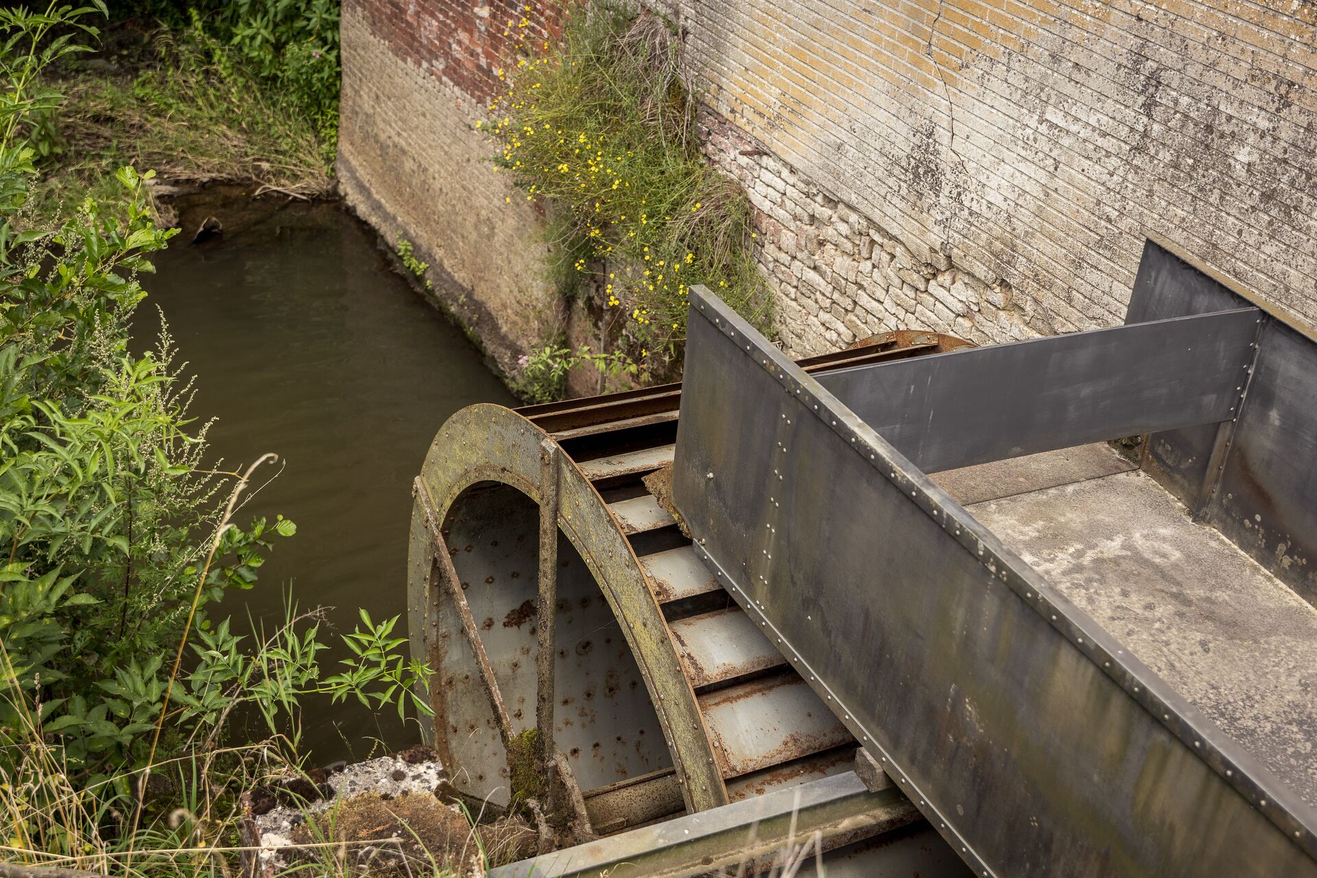 Una rustica ruota di mulino ad acqua accanto a un muro in mattoni, circondata da una vegetazione rigogliosa e da un ruscello tranquillo. La scena è pacifica, con un tocco di nostalgia.