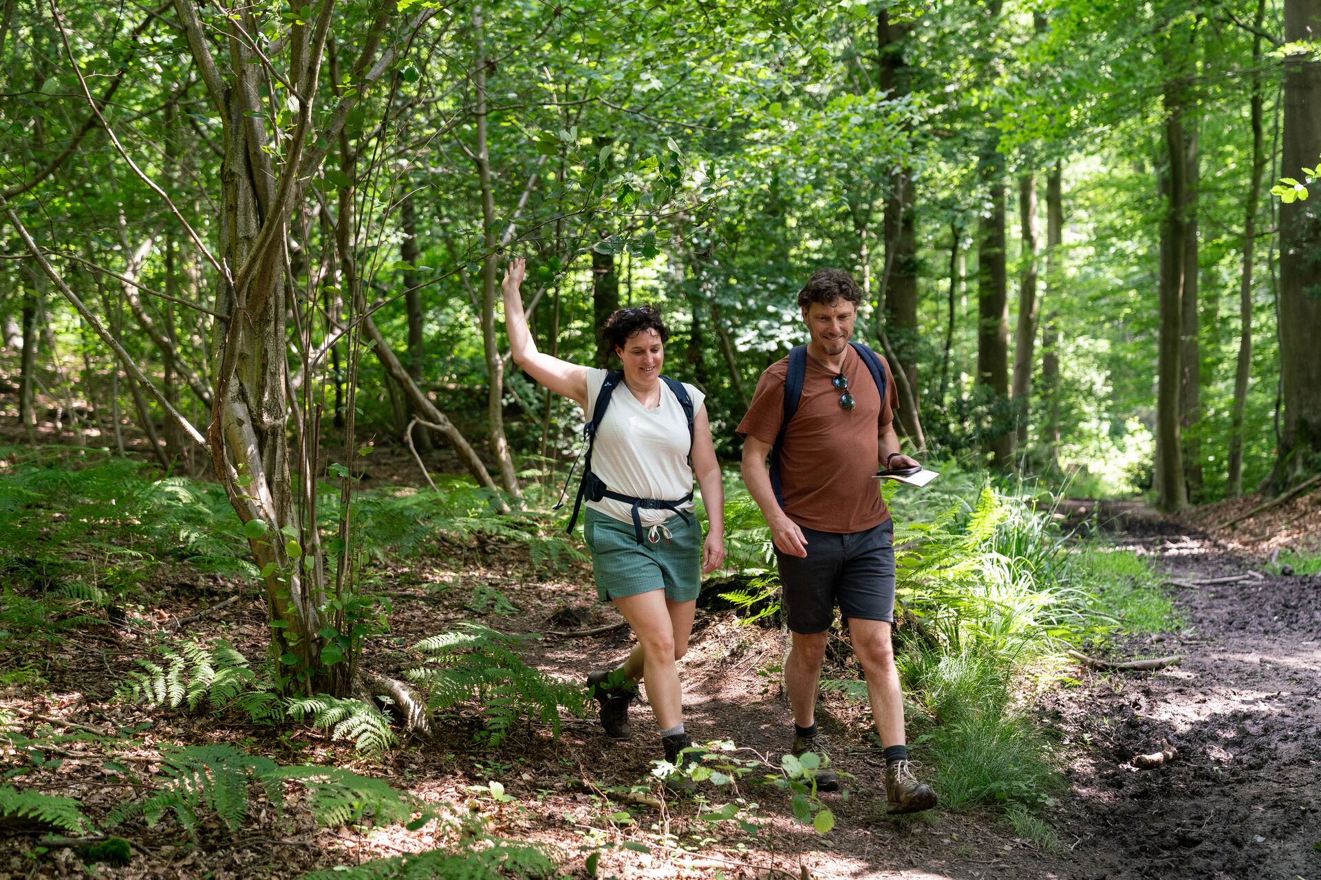 Het Muziekbos is een natuurgebied op de Muziekberg in de Vlaamse Ardennen in Zuid-Oost-Vlaanderen (België). Het Muziekbos is 52 hectare groot en sluit aan op het 57 hectare grote Sint-Pietersbos. Het ligt ten noordoosten van Ronse en dit domeinbos wordt beheerd door de Vlaamse overheidsdienst Agentschap voor Natuur en Bos. Muziekbos_wandelaars5 © Jens Mollenvanger voor Toerisme Oost-Vlaanderen