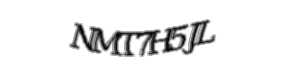 Security check image, please type the characters shown