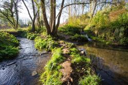 AB_Demervallei_Demer (c) Regionaal Landschap Haspengouw en Voeren