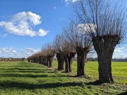 Pajottenland_Galmaarden3