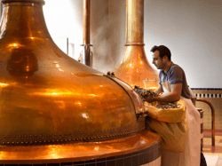 Brouwzaal
Brewery Westmalle - Antwerp 17 © www.milo-profi.be