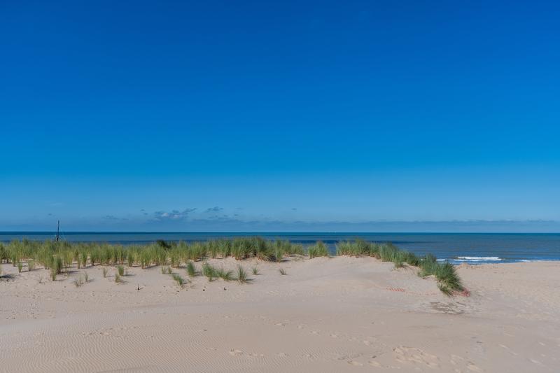 Duinen kust (c) Piet De Kersgieter (1)