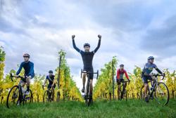 HEUVELLAND 2019 © Jan D’Hondt - fietsen - wijngaard