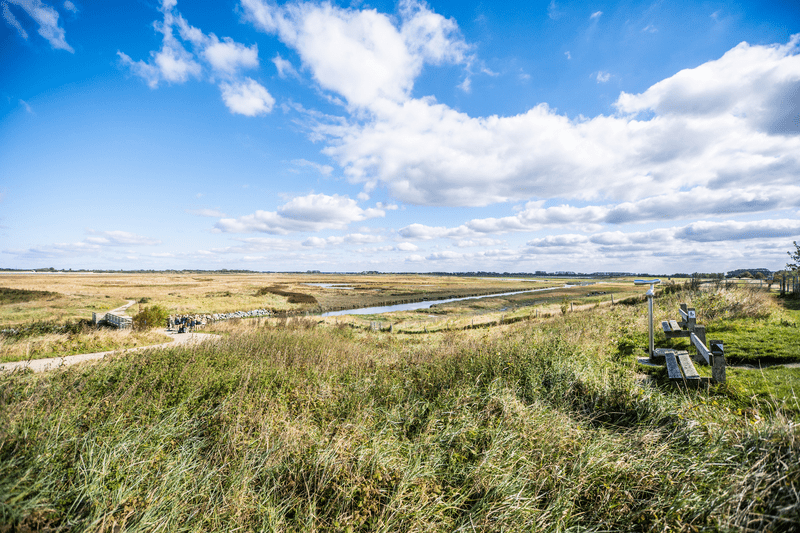 Zwin Knokke (c) Piet De Kersgieter (26)