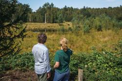 Drongengoed_Heide in Maldegemveld2 ©Jens Mollenvanger voor Toerisme Oost-Vlaanderen