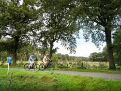 Flanders by bike: Fietsroute 'Fietsen door de bomen' Bosland