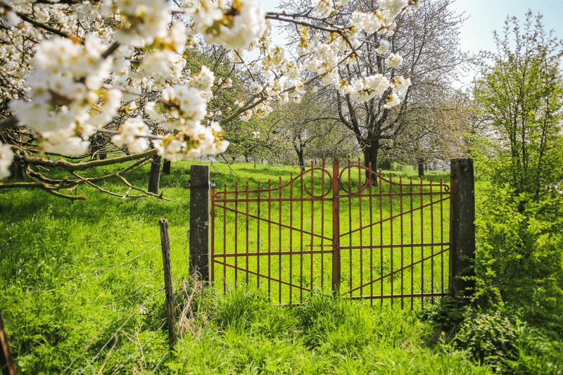 PitDorp_Hoogstamboomgaard_Zammelen (c) Regionaal Landschap Haspengouw en Voeren