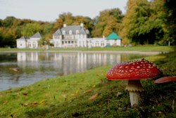 castle-Rivierenhof © PGRA-Bart Moons _8899602846_o