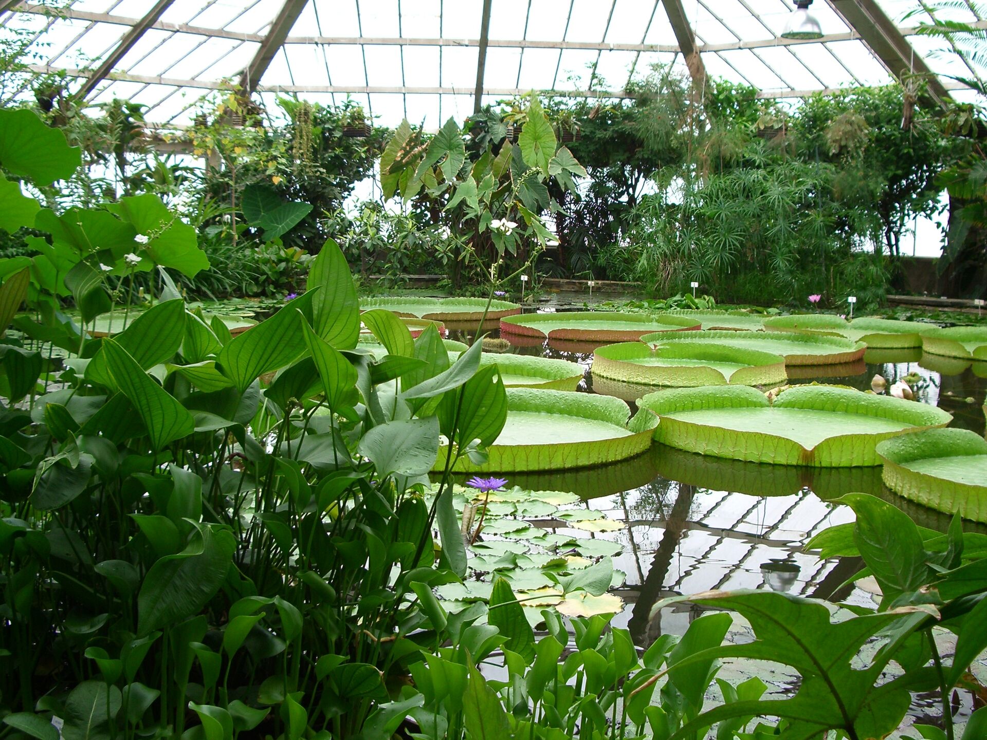Jardin botanique de Meise
