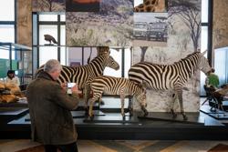Royal Museum for Central Africa AfricaMuseum Tervuren 12