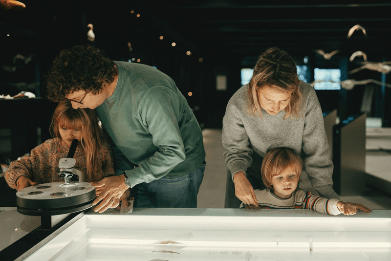 Het Zwin Natuur Park (c) Het Zwin (26)