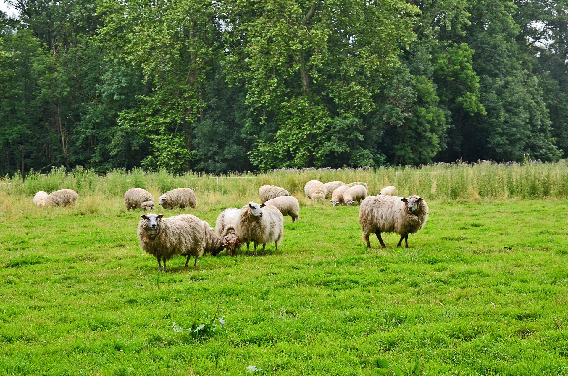 Kasteel van Poeke - persmoment-03