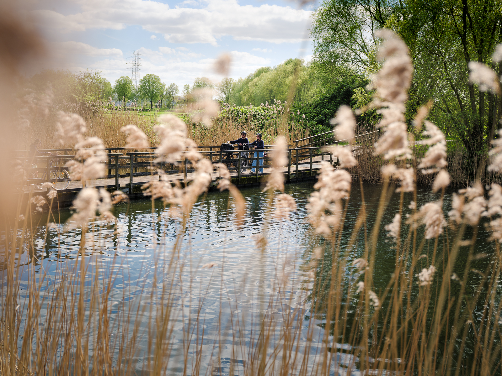 Old Leie Arm, Bavikhove A serene scene of two people on a wooden bridge over a river, surrounded by tall reeds and lush green trees, under a partly cloudy sky.