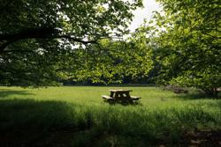 Drongengoed_Picknickbank Drongengoedbos © Toerisme Oost-Vlaanderen