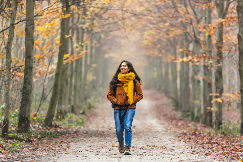 ToerismeVlaandere-COF-Meerdaalwoud-Herfst-Winter-HR-042