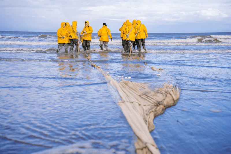 Fishers in bright yellow raincoats pull a large fishing net from the ocean. The sea is wavy and the sky is cloudy, creating a hardworking, determined mood.