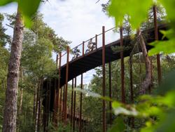 Flanders by bike: Fietsroute 'Fietsen door de bomen' Fietsen door de bomen
