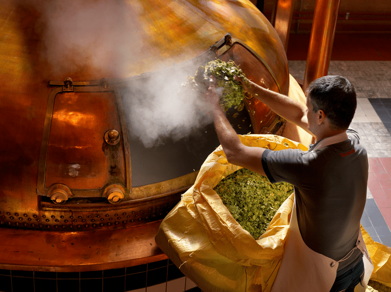 Cervecería Westmalle en Amberes. Un hombre está trabajando en la cervecería Westmalle en Amberes.