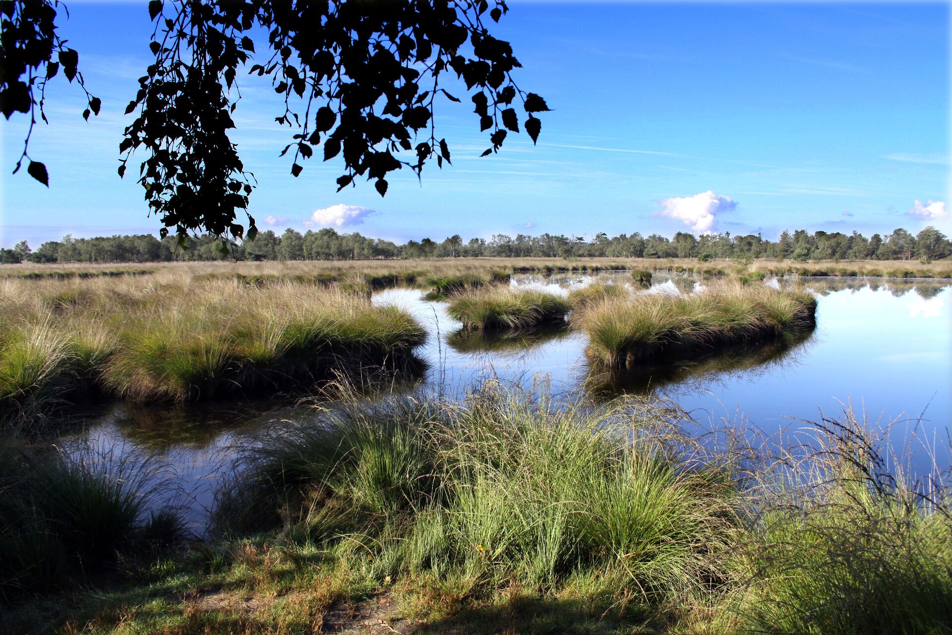 Kalmthoutse Heide, 2010 © gemeente Kalmthout
