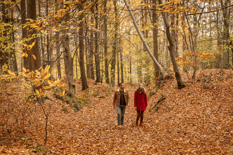 Una coppia cammina mano nella mano in un tranquillo bosco autunnale, circondata da alberi alti e foglie dorate, creando un’atmosfera accogliente e serena.