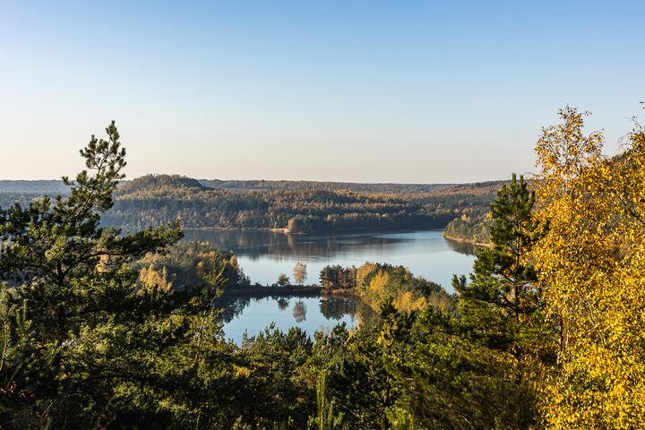 ToerismeVlaandere-COF-HogeKempern-Herfst-Winter-HR-017