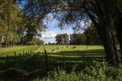 Den Dotter_Natuurgebied Den Dotter© Jens Mollenvanger voor Toerisme Oost-Vlaanderen