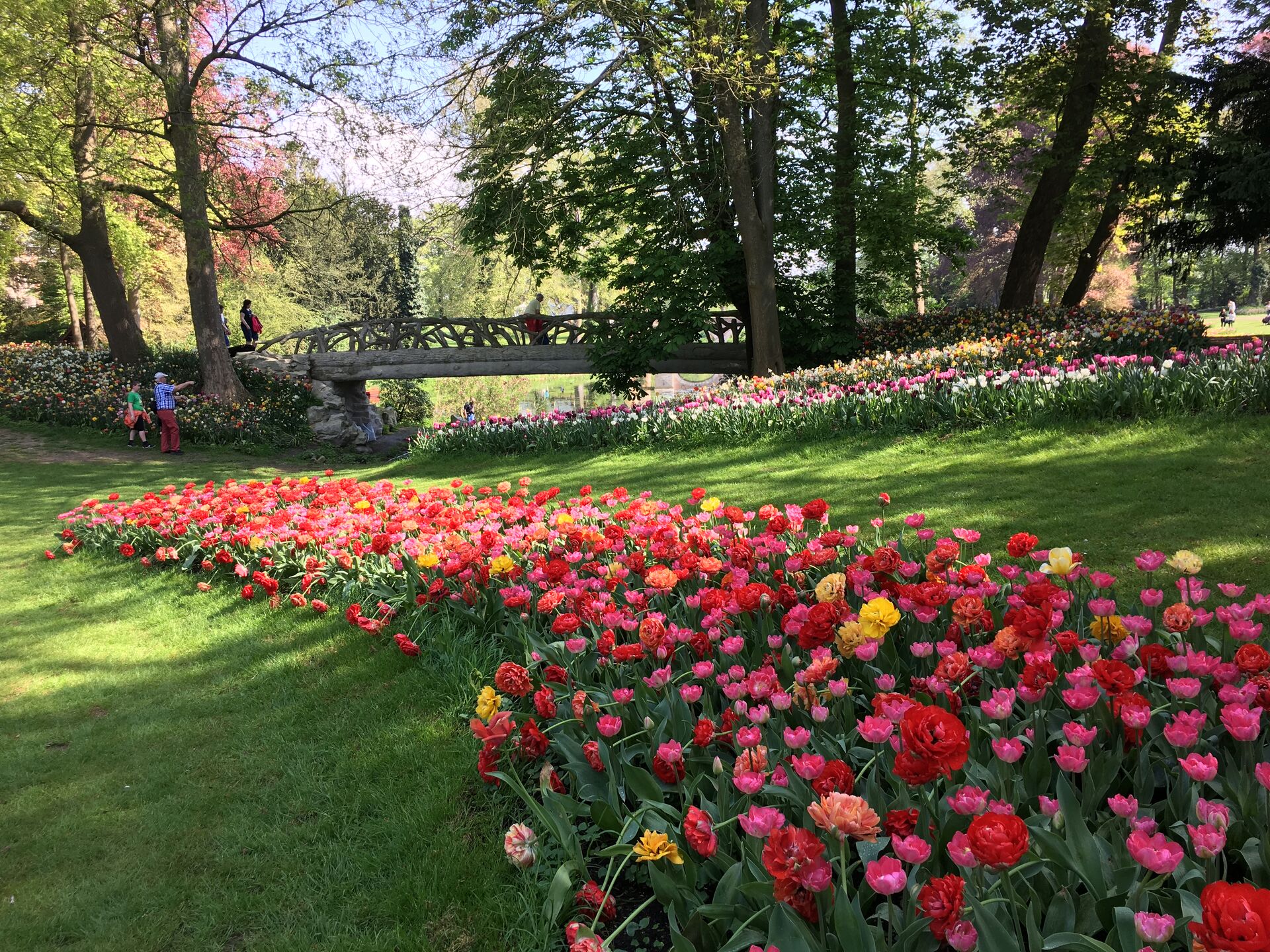 Castello di Groot-Bijgaarden, un paradiso fiorito Castello di Groot-Bijgaarden, un paradiso fiorito