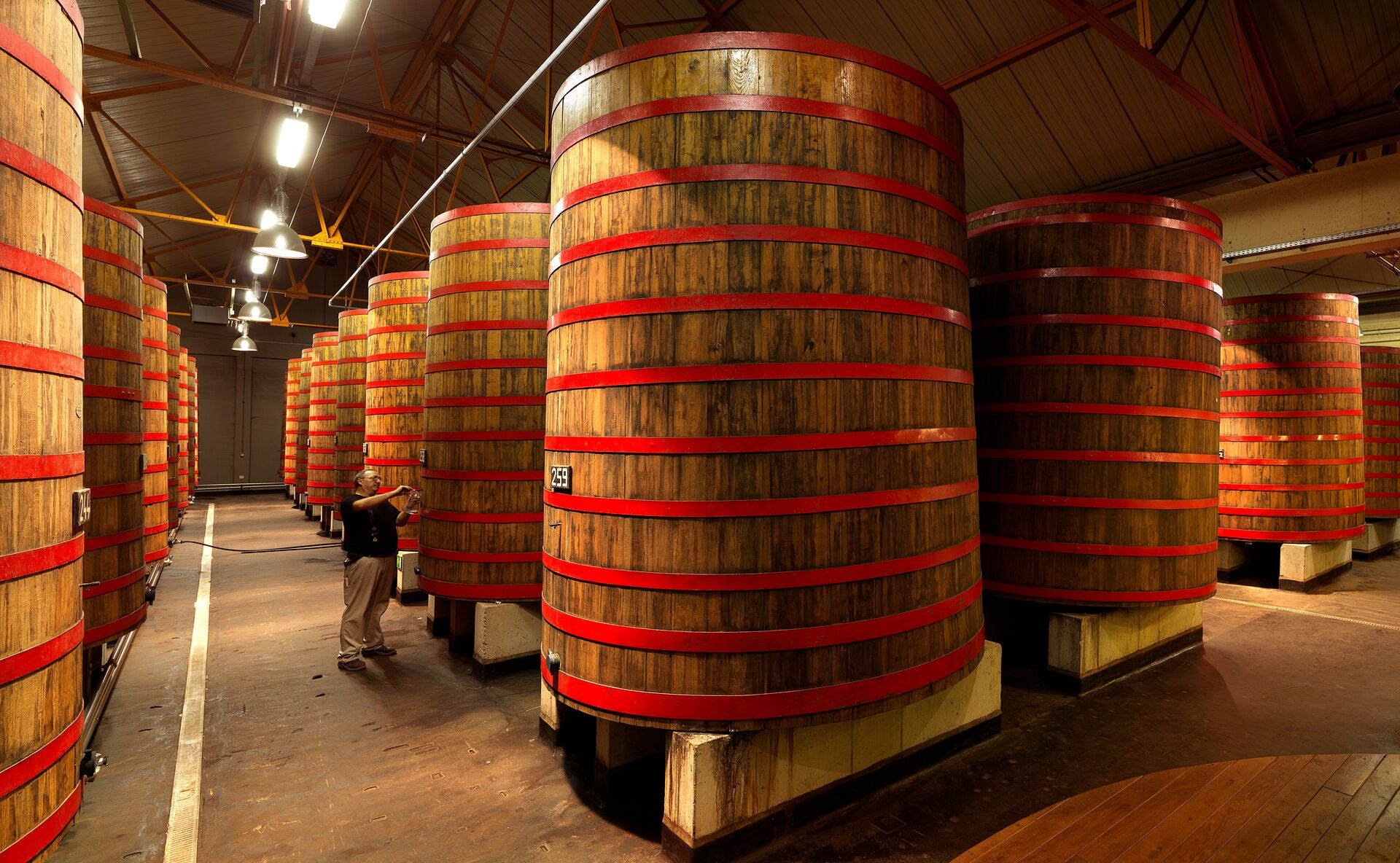 Filas de grandes barriles de madera en un almacén tenuemente iluminado, transmitiendo una sensación de artesanía y tradición, probablemente utilizados para fermentar o añejar.