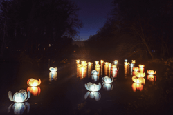 Plantentuin winterfloridylle-25 © Plantentuin Meise