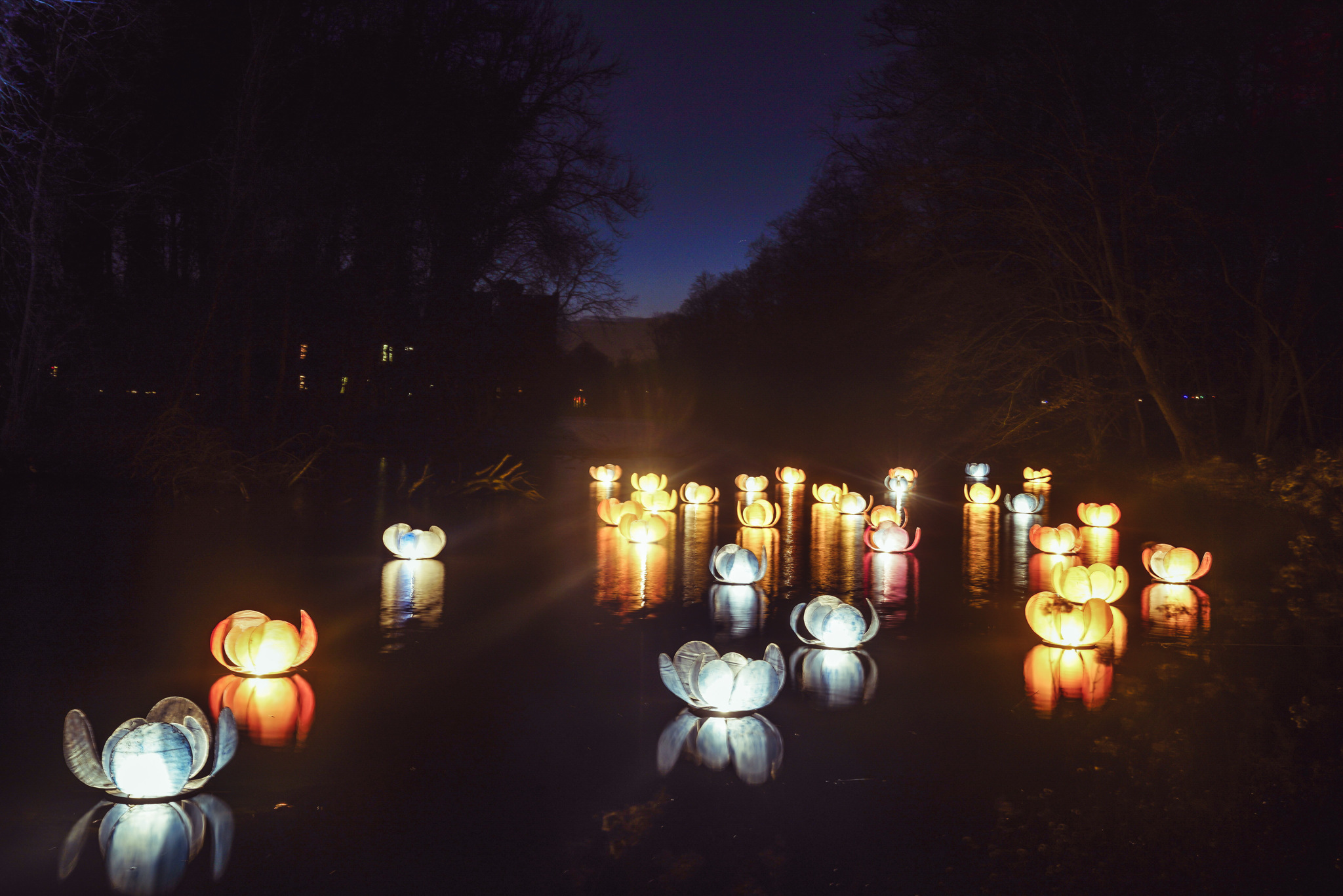 Plantentuin winterfloridylle-25 © Plantentuin Meise