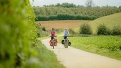 samen fietsen in het groen door de velden Cycling together in the green through the fields Fietsen in Vlaanderen | icoonroutes