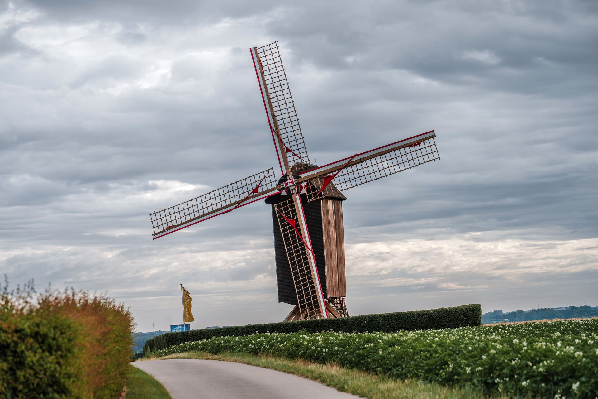 Un mulino tradizionale in legno con grandi pale dalle punte rosse si erge lungo un sentiero rurale fiancheggiato da siepi curate sotto un cielo nuvoloso e coperto.