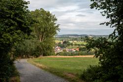 Toerisme Vlaanderen - Vlaamse Ardennen - Koppenberg - Bjorn Snelders - 3