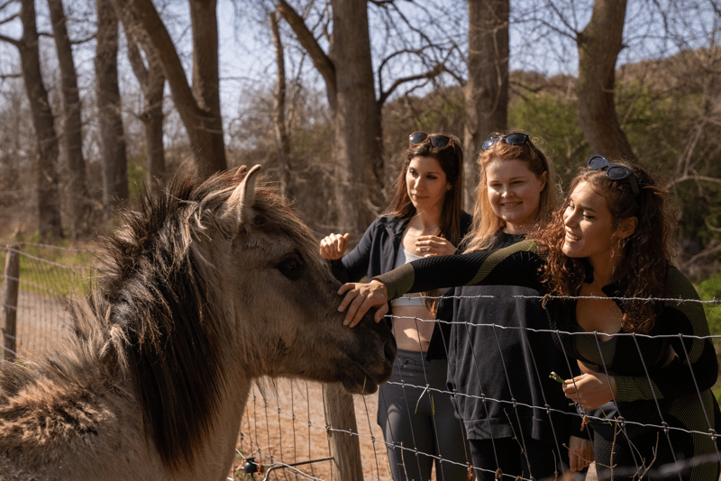 Micro adventures at the Coast Micro-avonturen De Kust