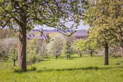 boomgaarden rond de landscommanderij van Alden biesen