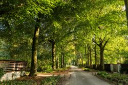 Gust De Smet wandelroute (c) Piet De Kersgieter (50)