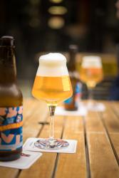 Glass of beer (2)
