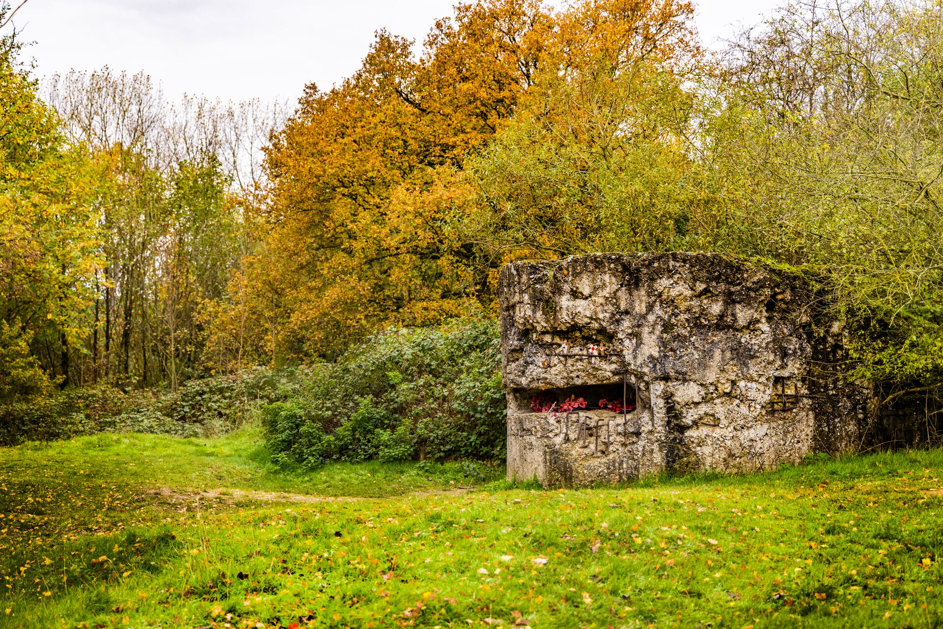 ZILLEBEKE_ Hill 60_ © Jan D&#039;Hondt Ateljé D