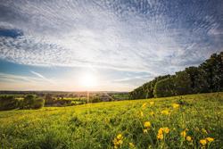 Fietsen in Vlaanderen - Koppenberg Koppenberg view sunset
