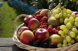 foto fruitkorf ®Toerisme Limburg © Toerisme Limburg