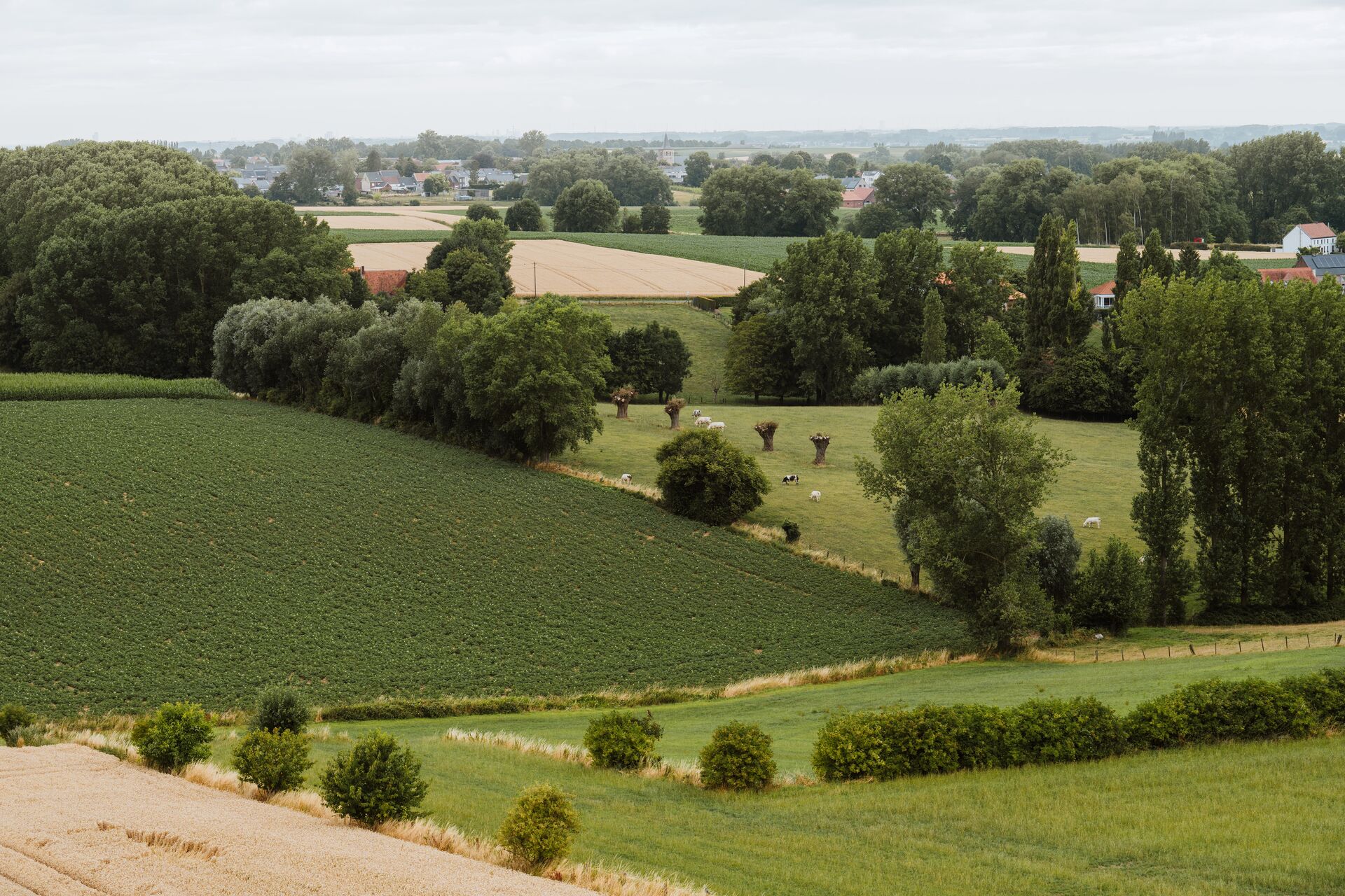 Landschaftspark Flämische Ardennen