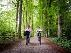 De 53 km-lange tocht biedt een veelzijdige mix van bossen, kasteelparken, open landschappen met akkers en weiden, loodrechte kanalen en pittoreske dorpjes. Kastelenroute Brugge (c) Kris Jacobs (6)