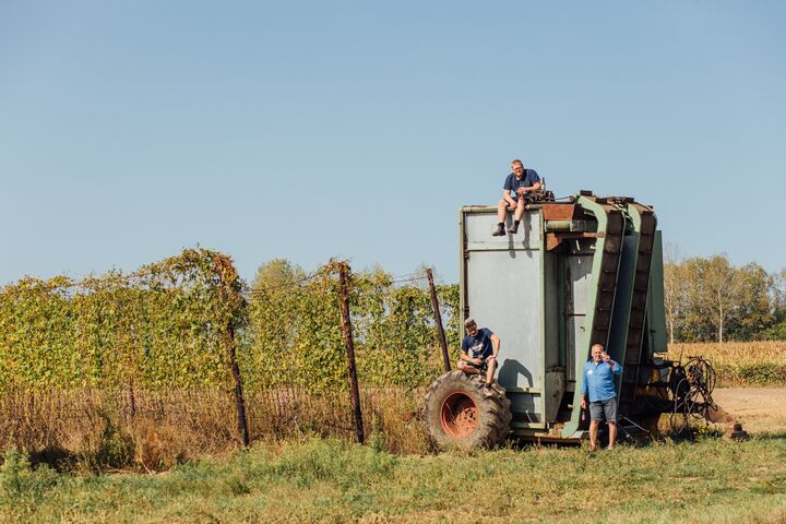 Arbeiter ernten Hopfen und Gerste auf einem Feld unter klarem blauem Himmel mit landwirtschaftlichen Maschinen. Die Szene vermittelt Teamarbeit und Produktivität.