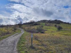 Treinstapper Beverlo - Zolder (c) Els Brouwers (2)