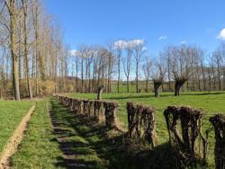 Pajottenland - Galmaarden Pajottenland_Galmaarden5